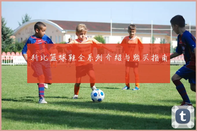 科比篮球鞋全系列介绍与购买指南